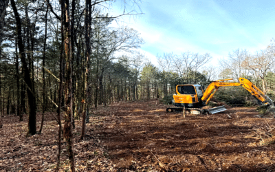 Land Clearing FAQs: Your Questions Answered by Rooted Excavation